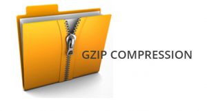 723239263726 300x162 فعال کردن قابلیت Gzip در سایت ها